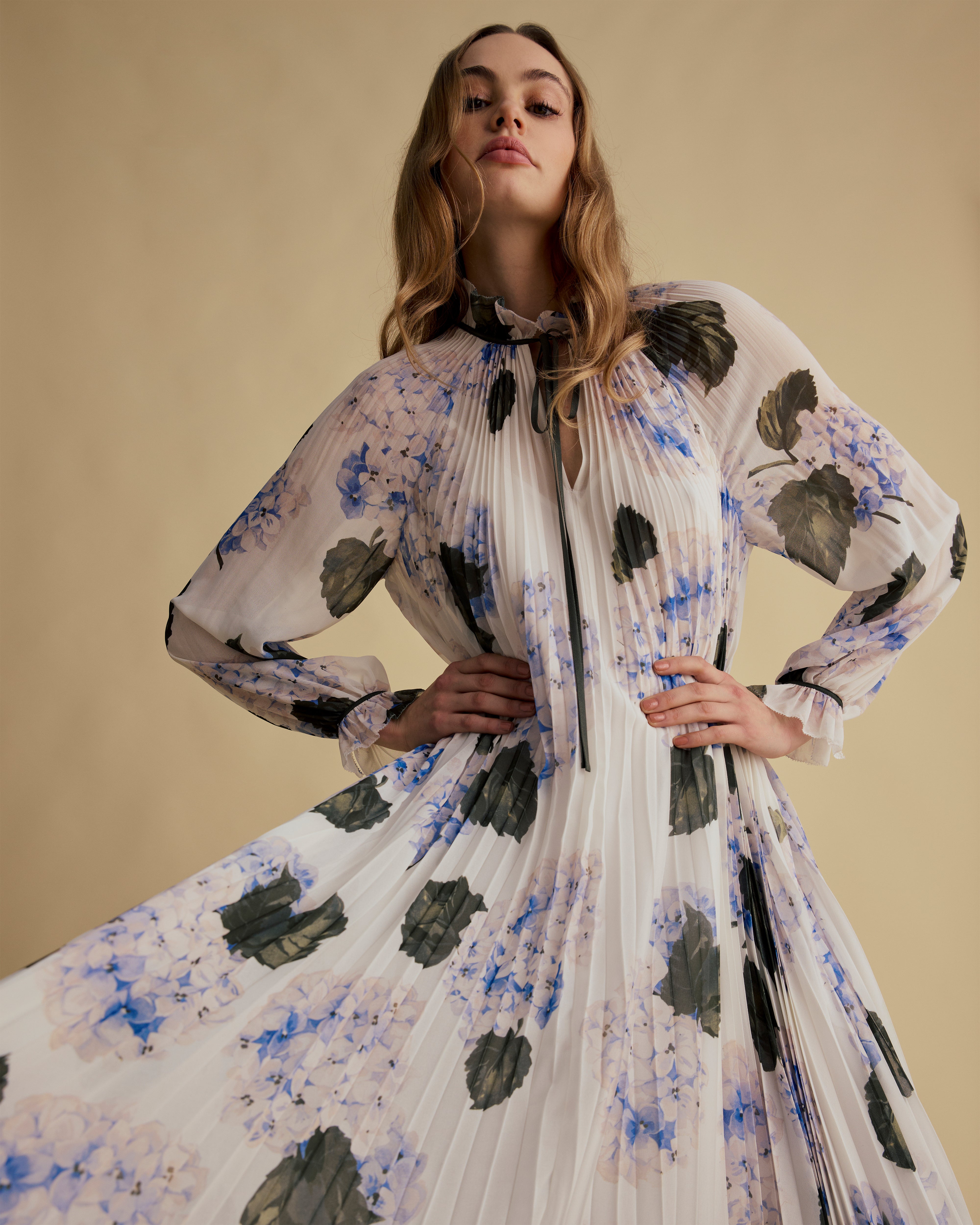 Border Print Pleated Midaxi Dress