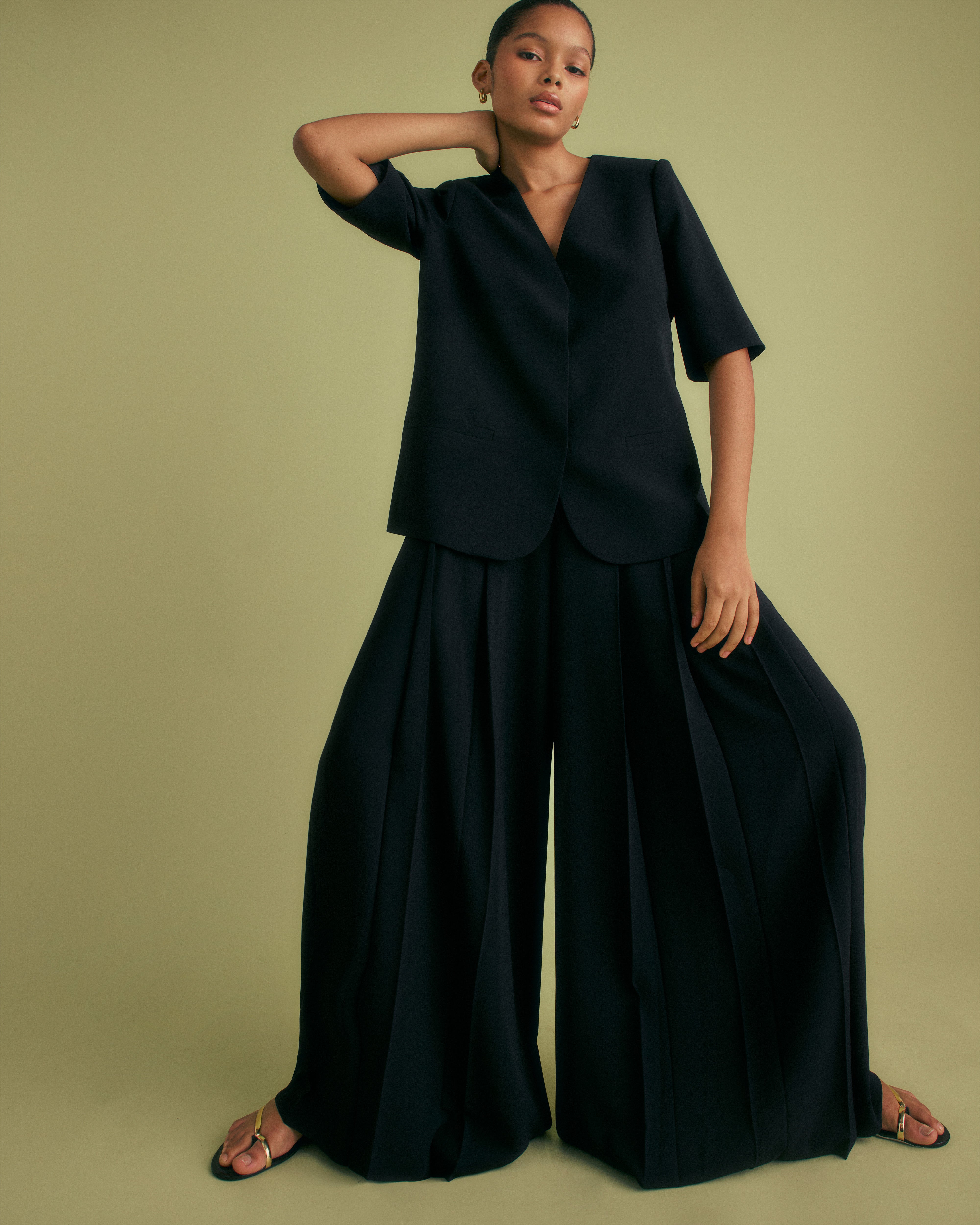 Deep Pleat Wide Leg Trousers